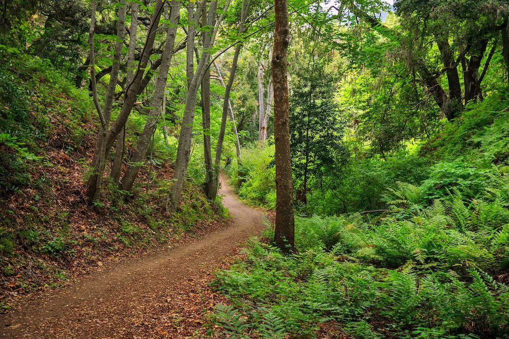 Garland Regional Park
