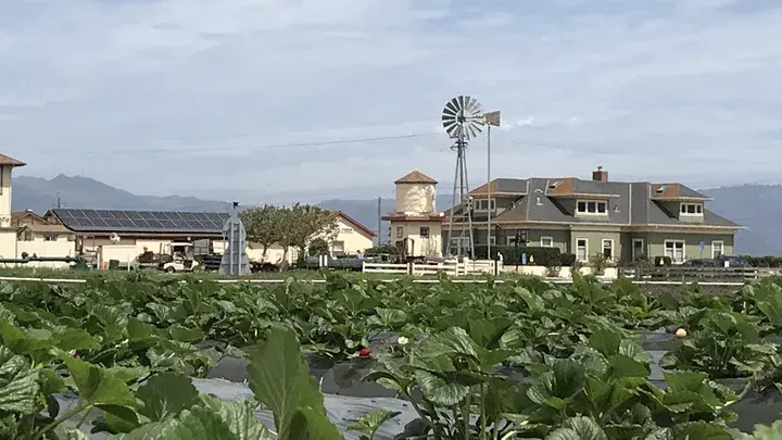 The Farm on Highway 68: Where the Salinas Valley Lets You In