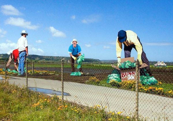 Produce Pros Along 68